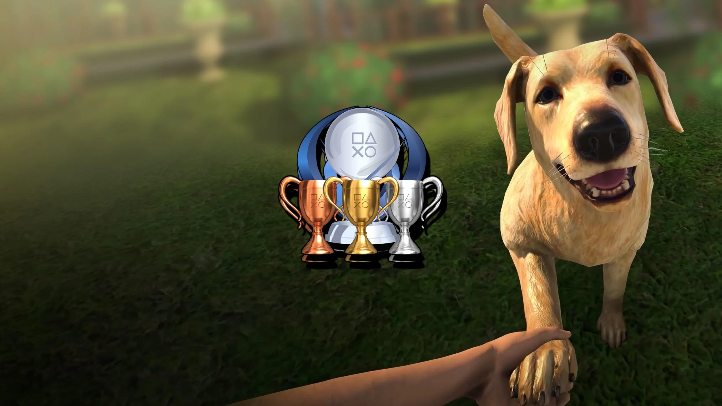 Pets Hotel Trophy List