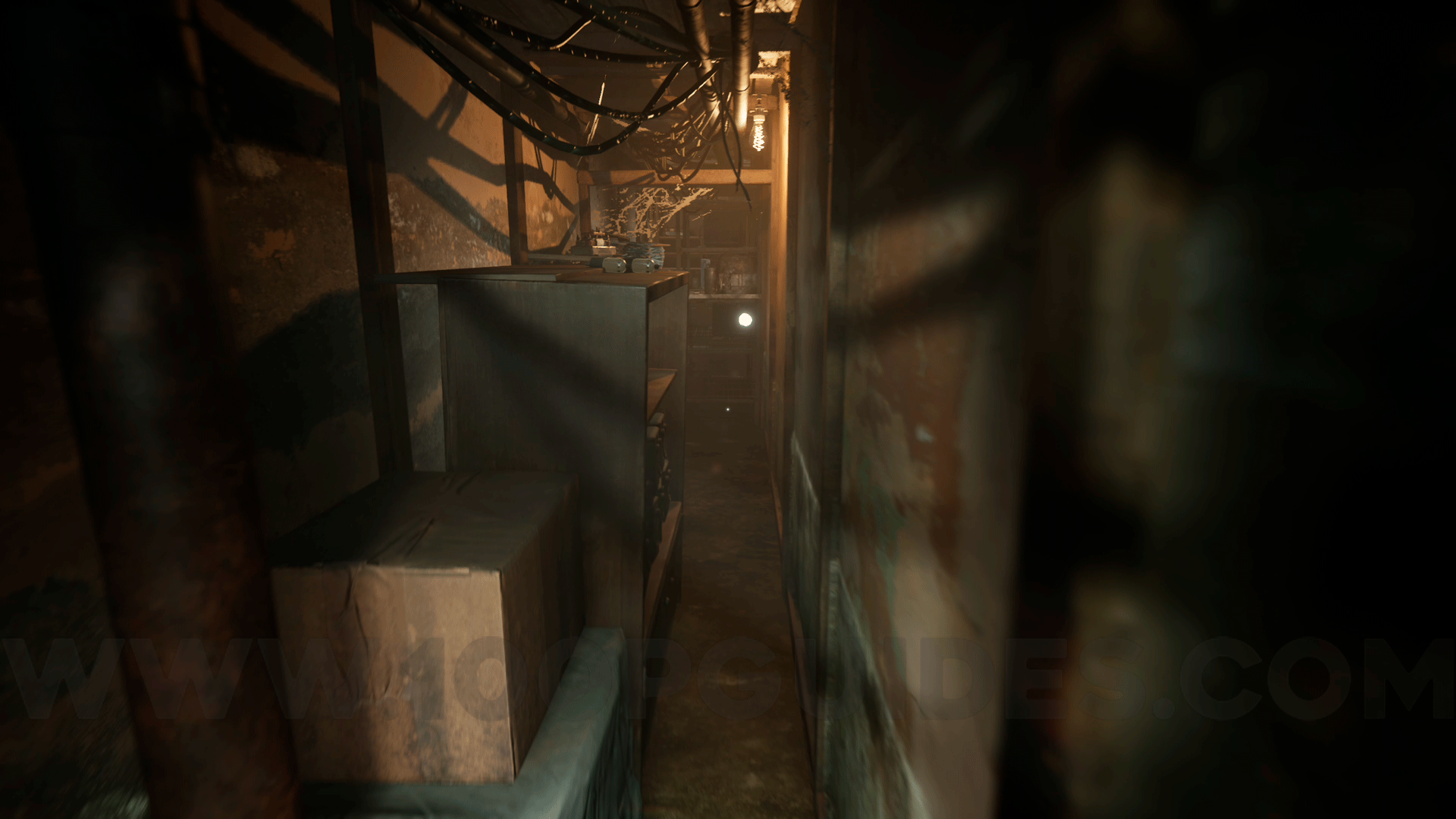 11.png