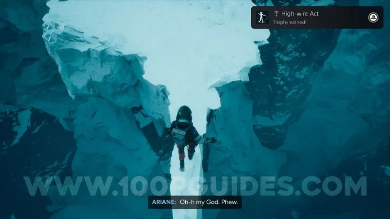 trophy_high_wire_act-img2.jpg