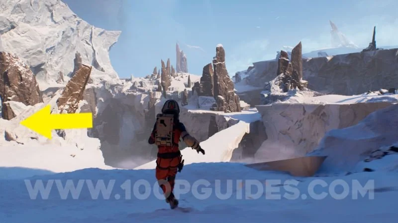 026-trophy_echo_seeker.jpg