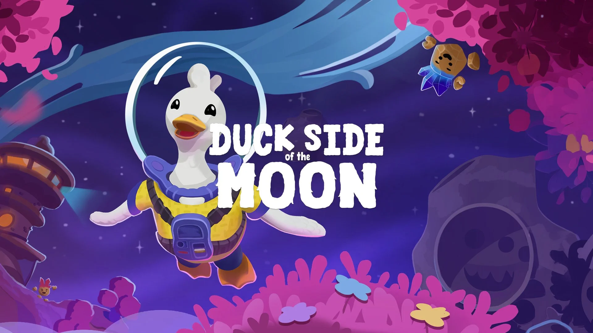 Duck Side of the Moon