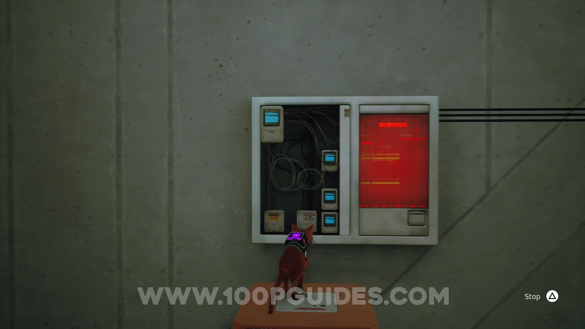 Stray All Chapter 12 Collectible Locations — 100% Guides