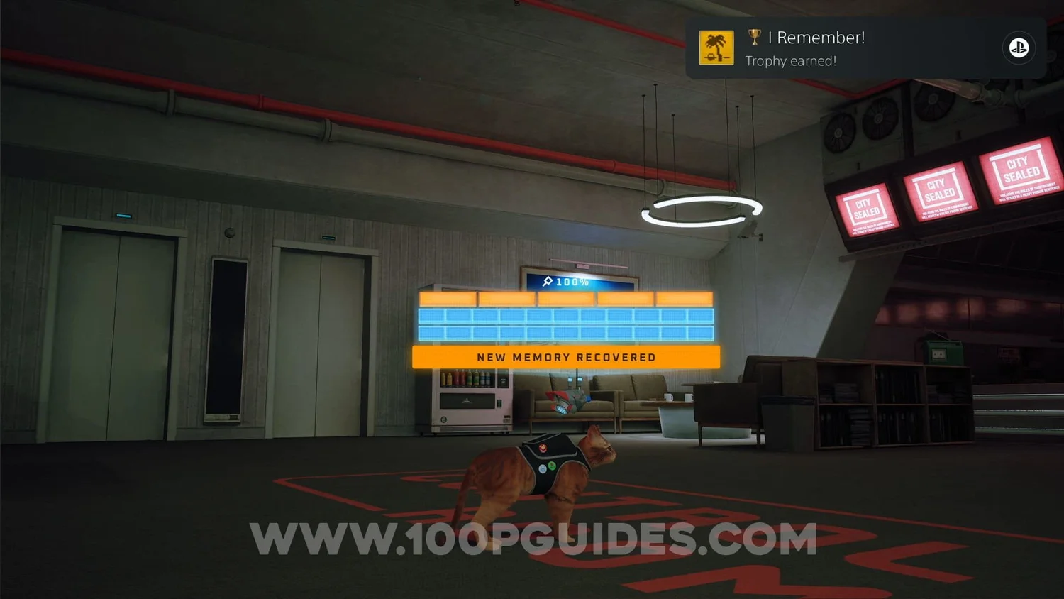 Stray All Chapter 12 Collectible Locations — 100% Guides