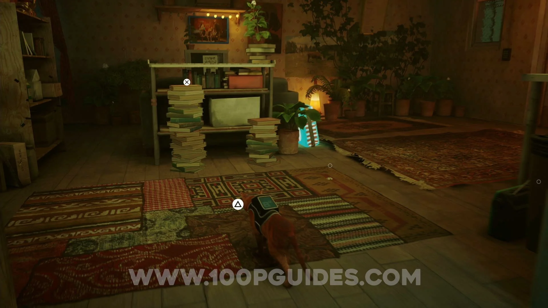 Stray All Chapter 6 Collectible Locations — 100% Guides