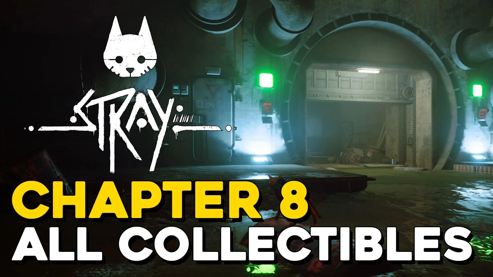 Stray All Collectible Locations — 100% Guides