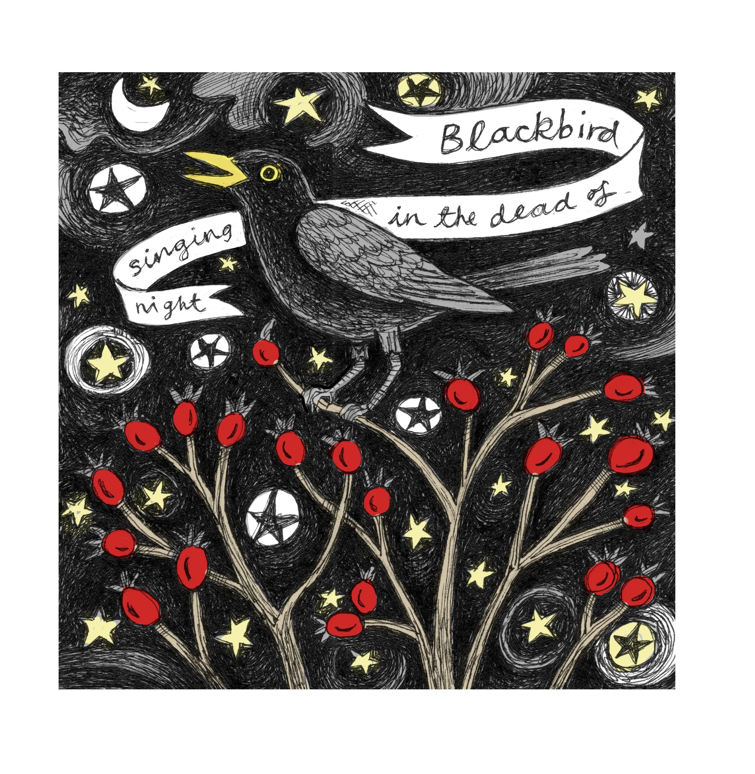 BLACKBIRD COLOURED.jpg