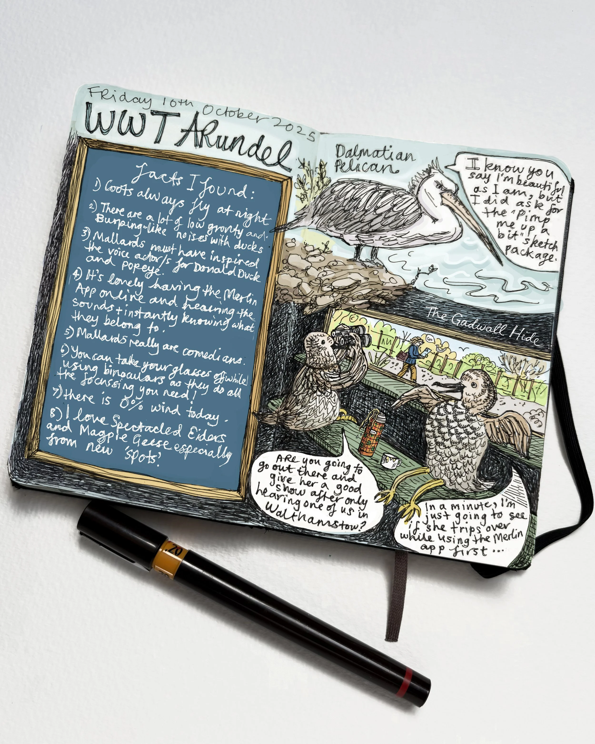 ARUNDEL GADWELLS FINAL INSTA.jpg