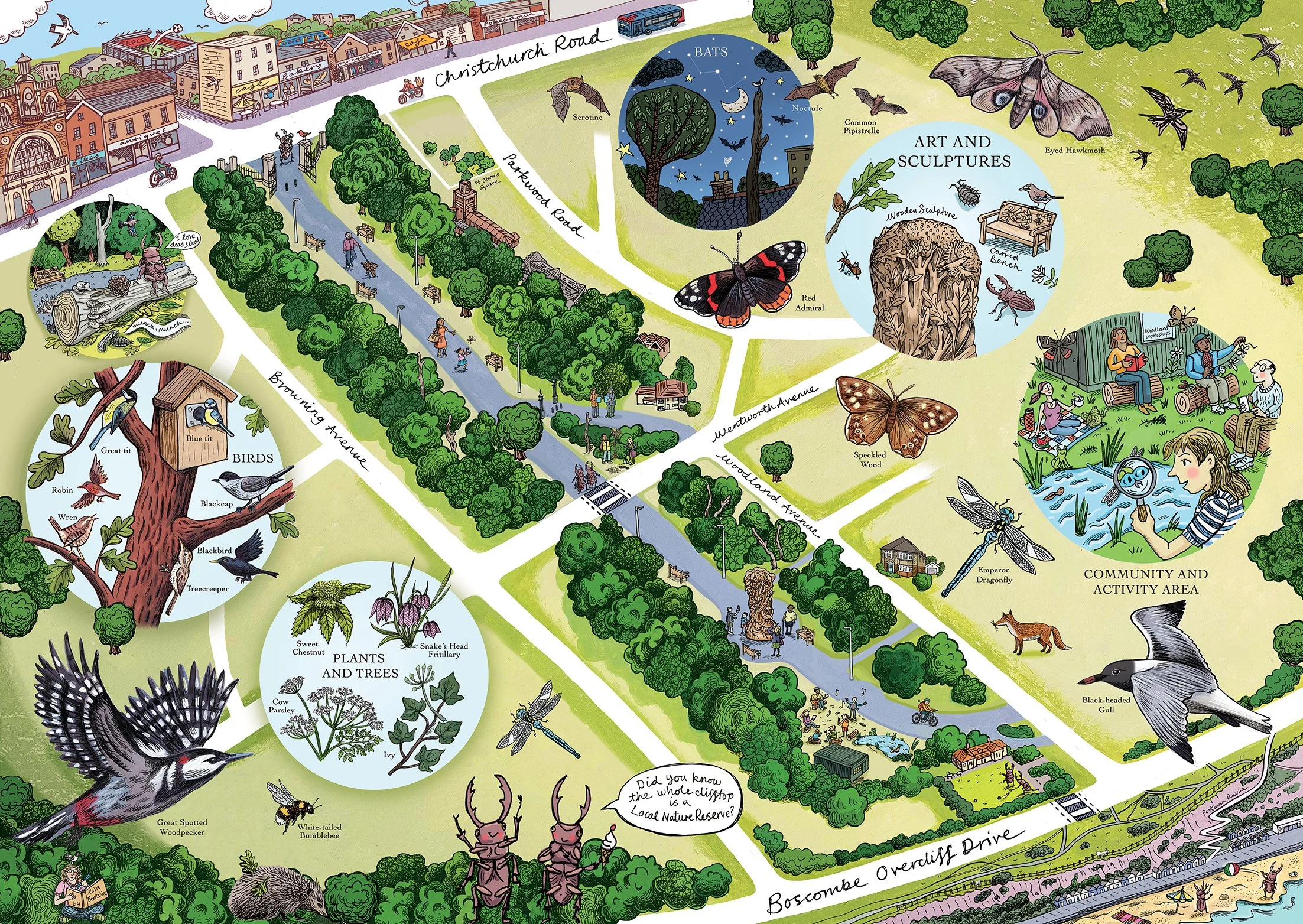 The illustrated Information Panel information for the Woodland Walk Project in Boscombe, Dorset. 2025