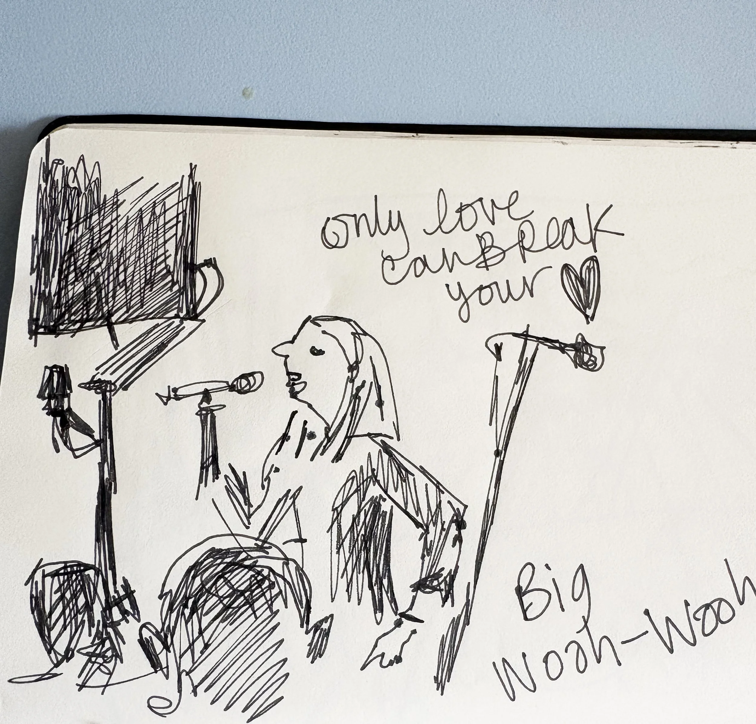 Sarah Cracknell singing.jpg