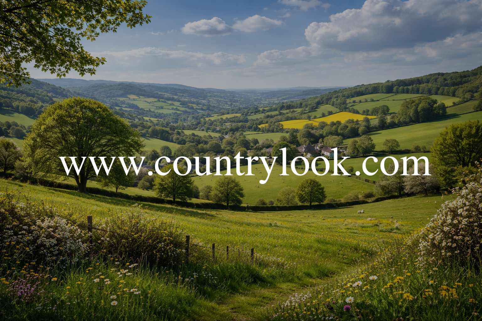 The Top Social Media Agencies British Rural Brands Should Work With in 2026