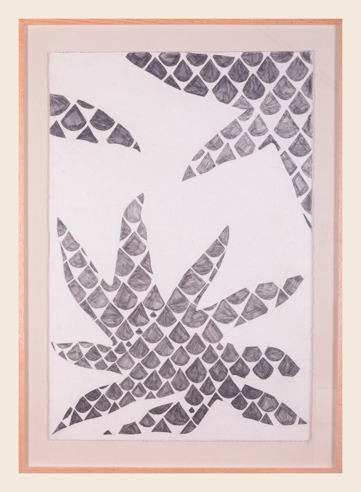 "Estrella de mar" / "Starfish"