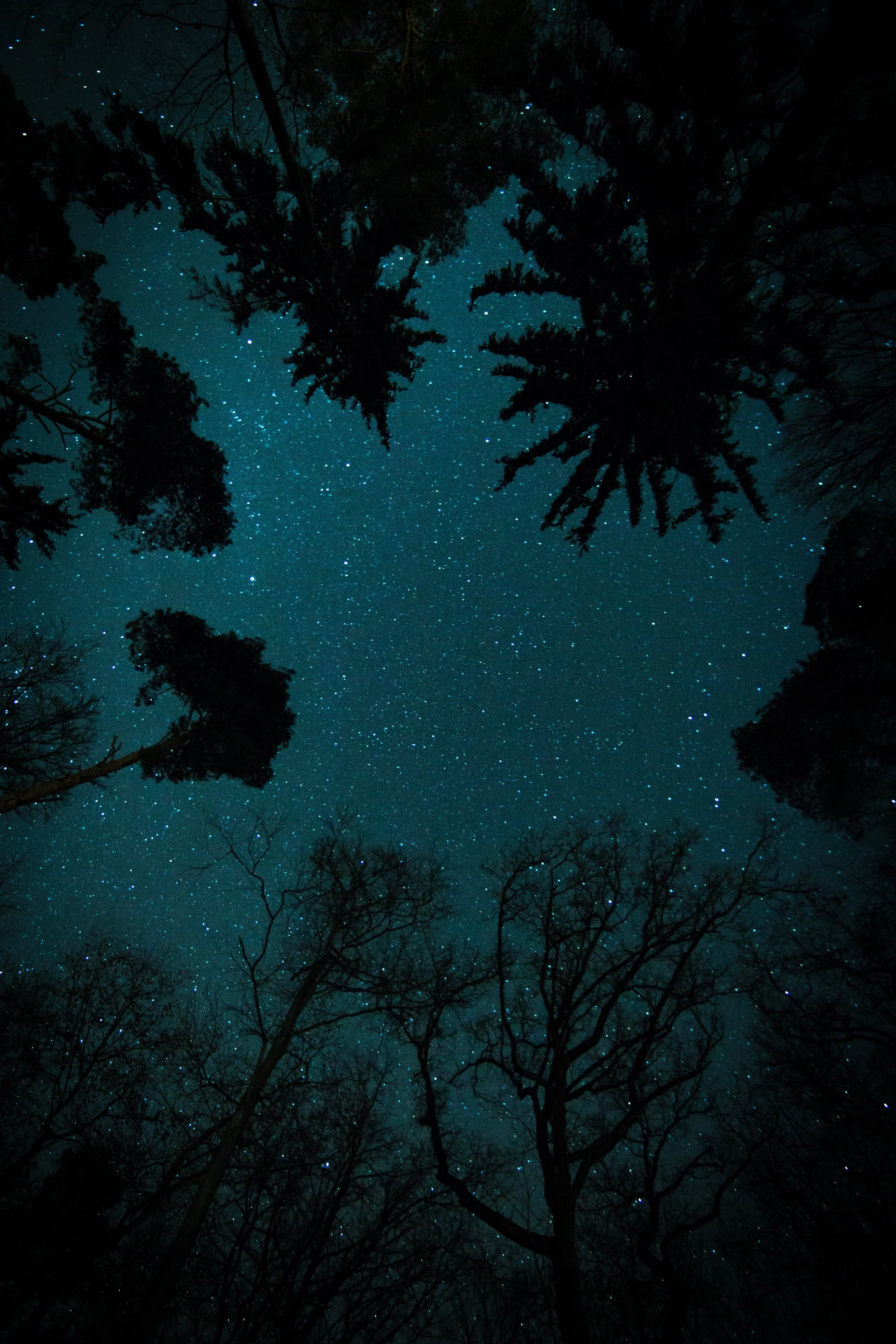 New Moon in Aquarius