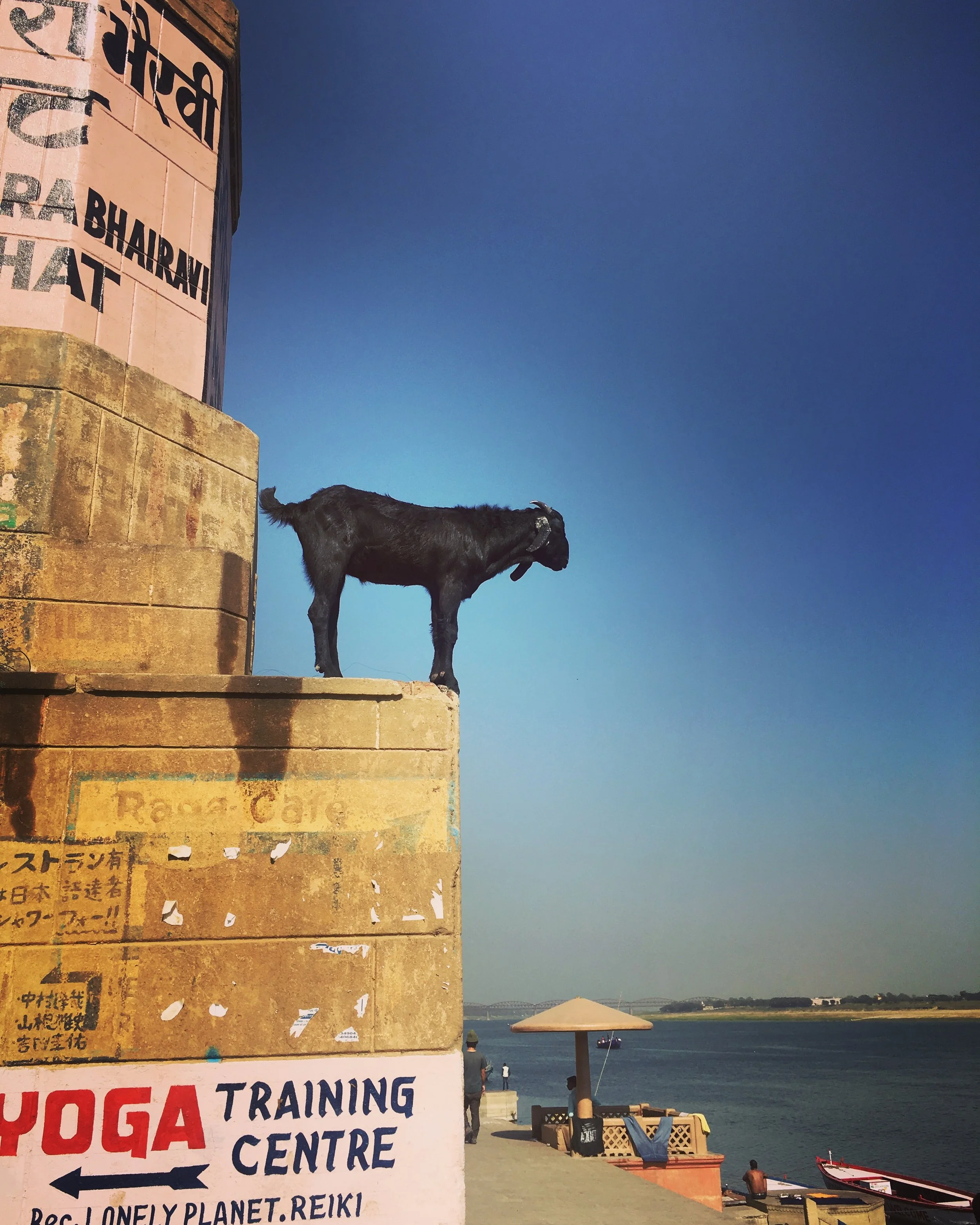 Super Buck Moon in Capricorn