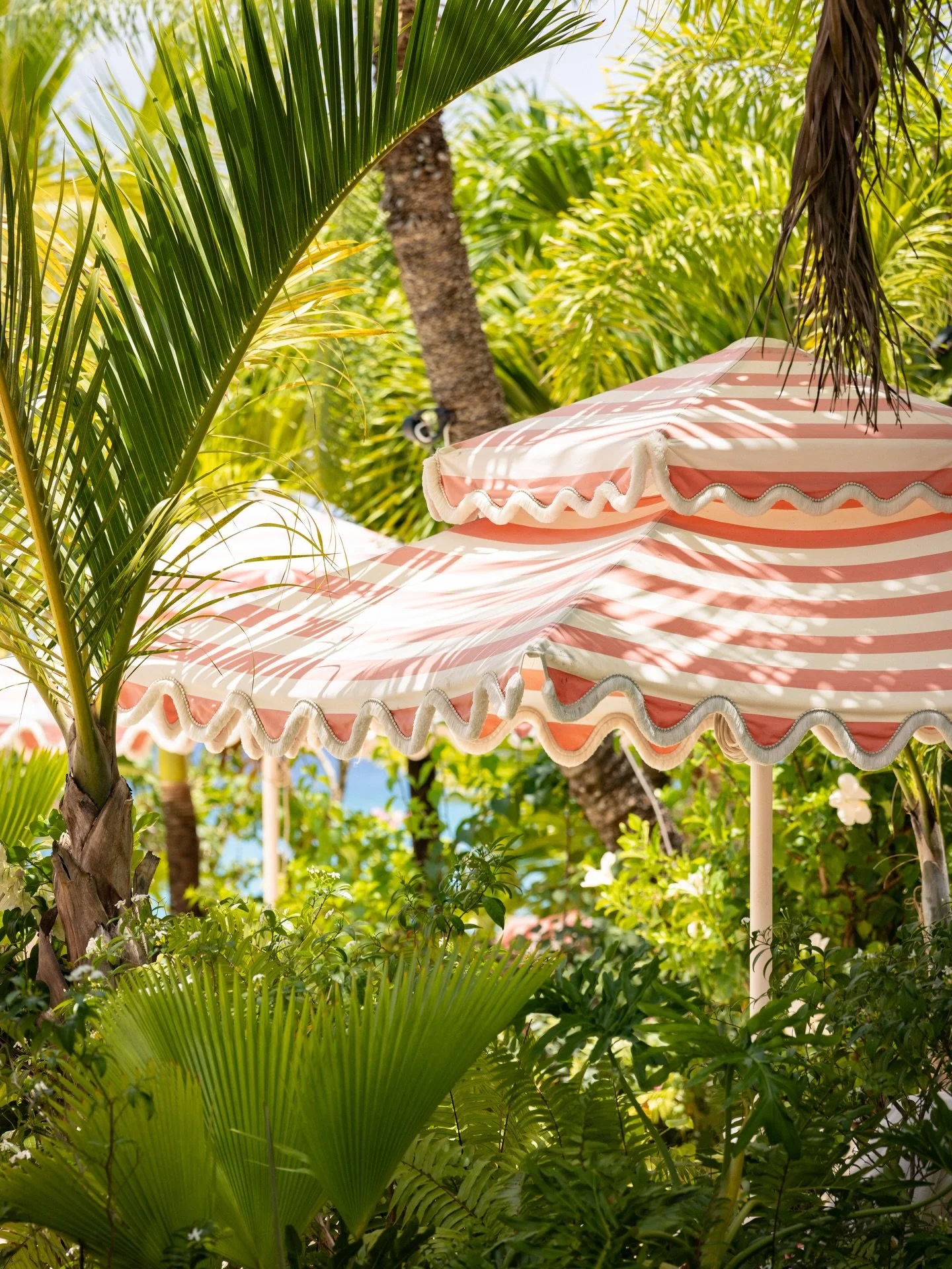 Sweetness everywhere you look.