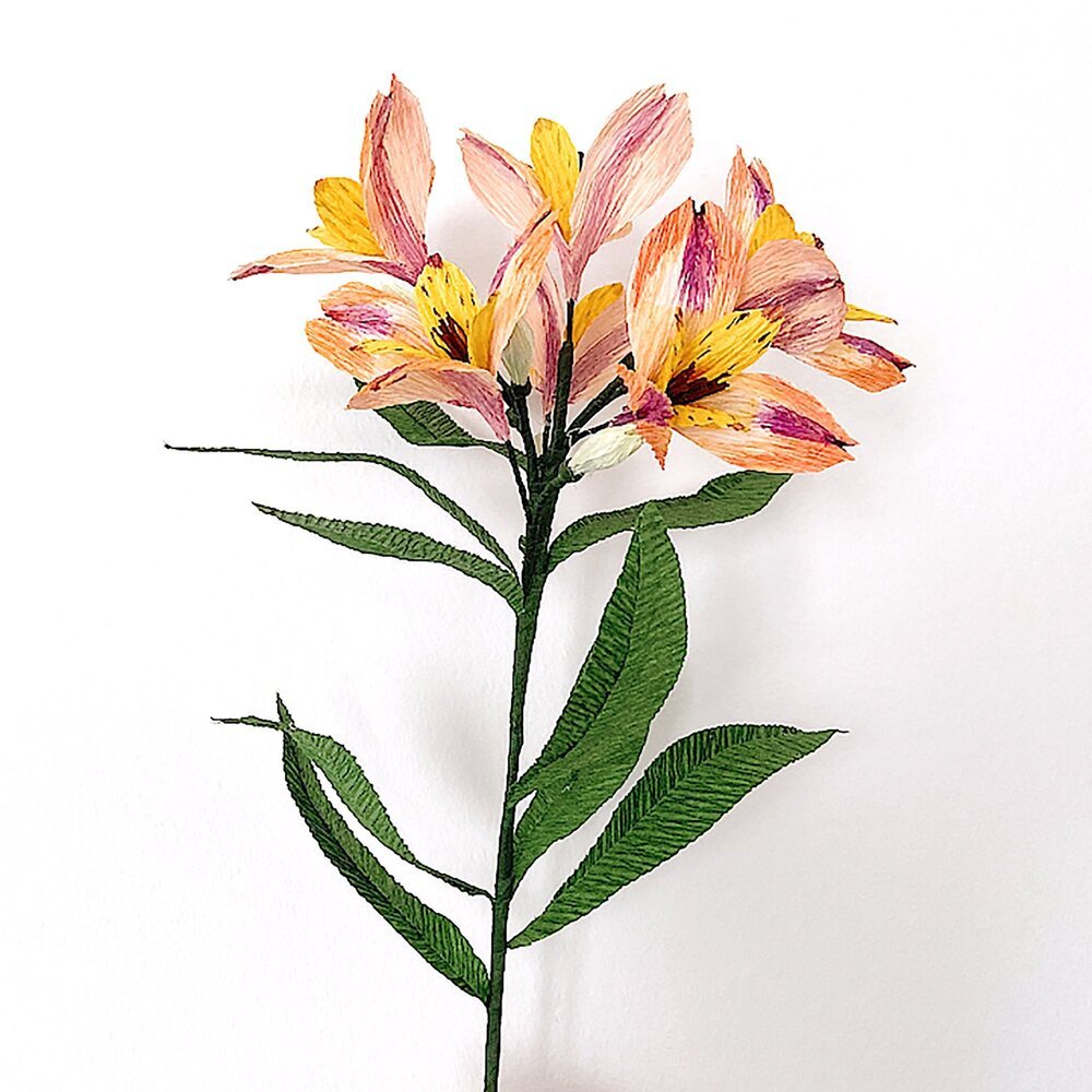 Alstroemeria Kit by Campbell Workshop