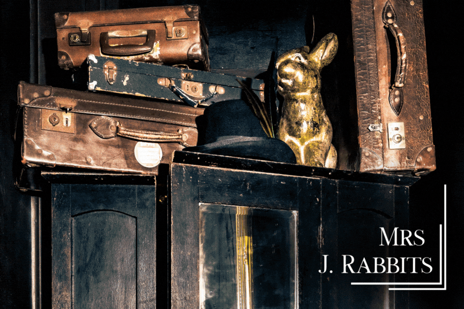 Mrs J. Rabbits — Electric Avenue