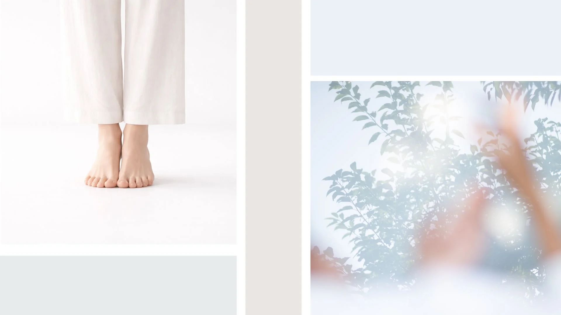 Danza contemporánea Noelia Palacios