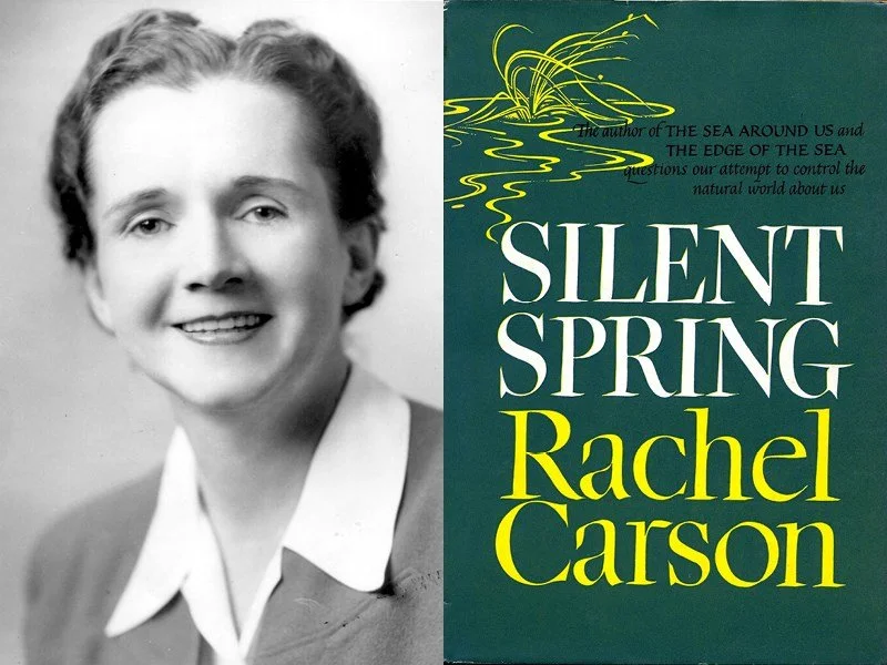 Varmere Våtere Villere på LitFestBergen