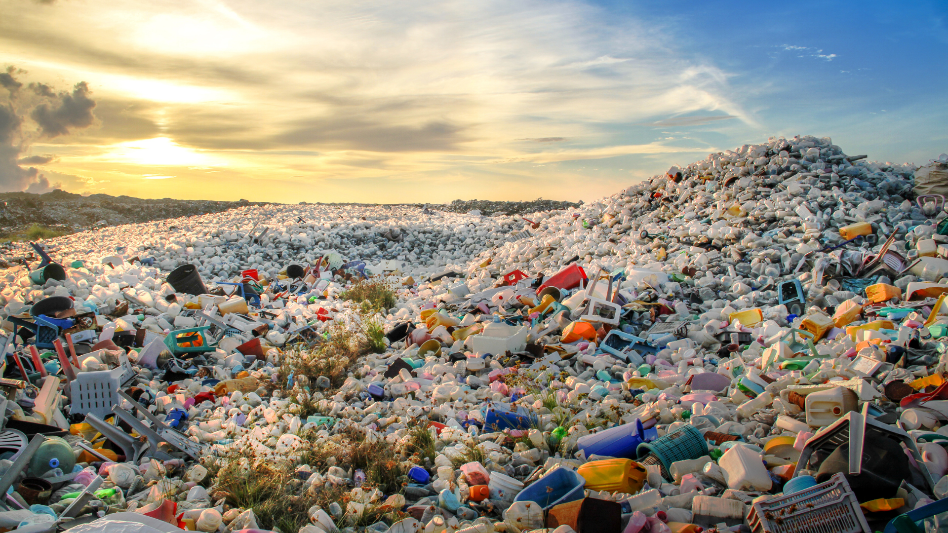 Life in plastic - its problematic