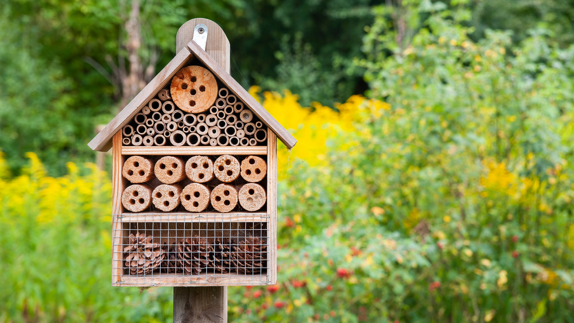 Verksted: Bygg insektshotell