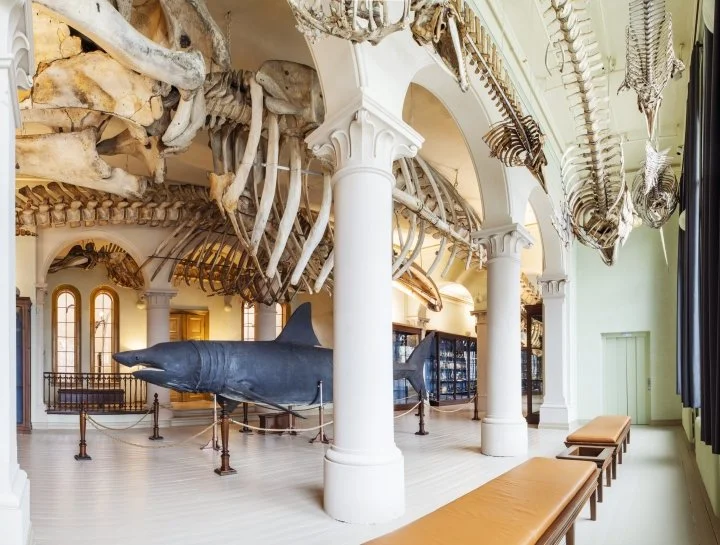 Klimaløype på Naturhistorisk museum