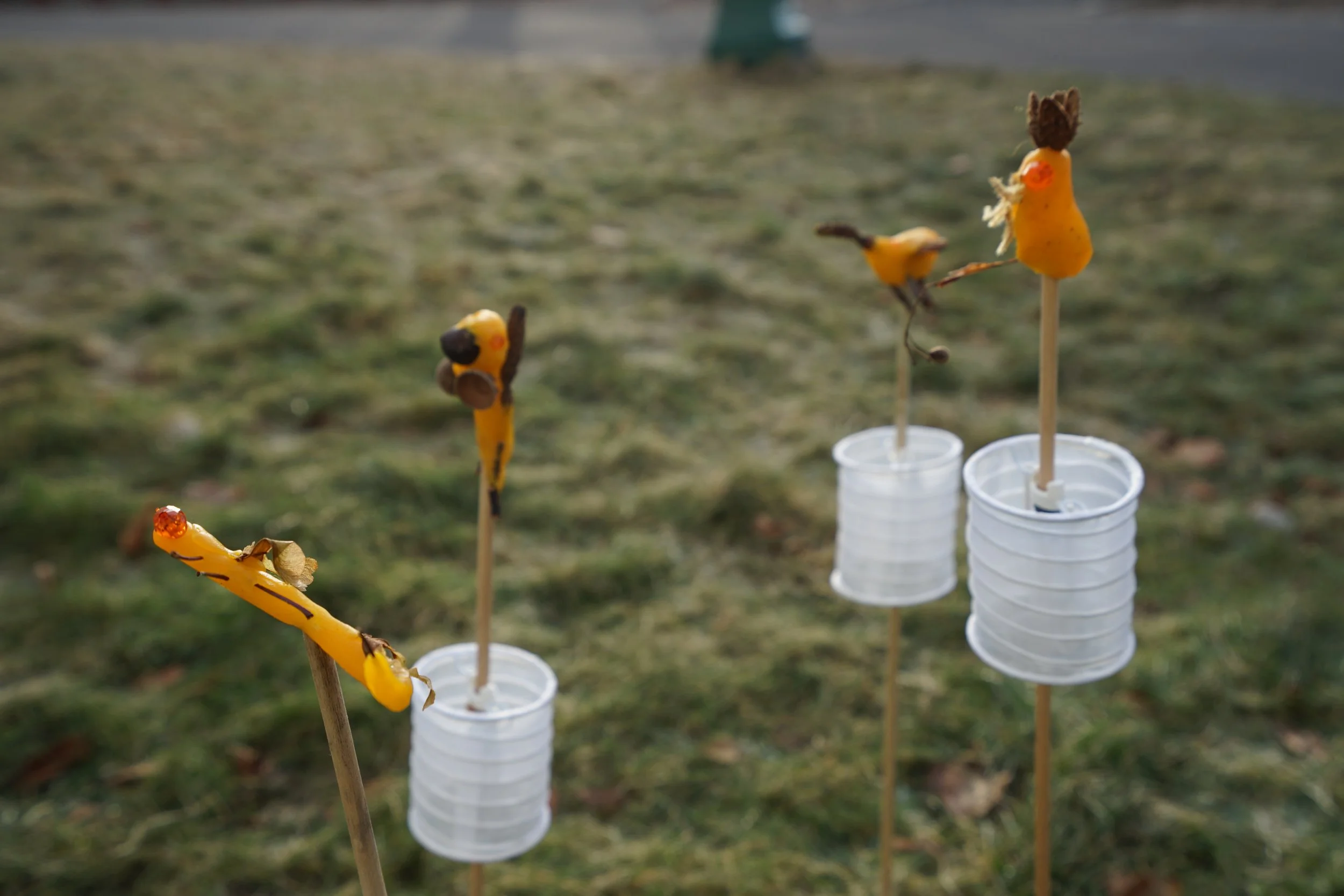 Foto: André  Marandon