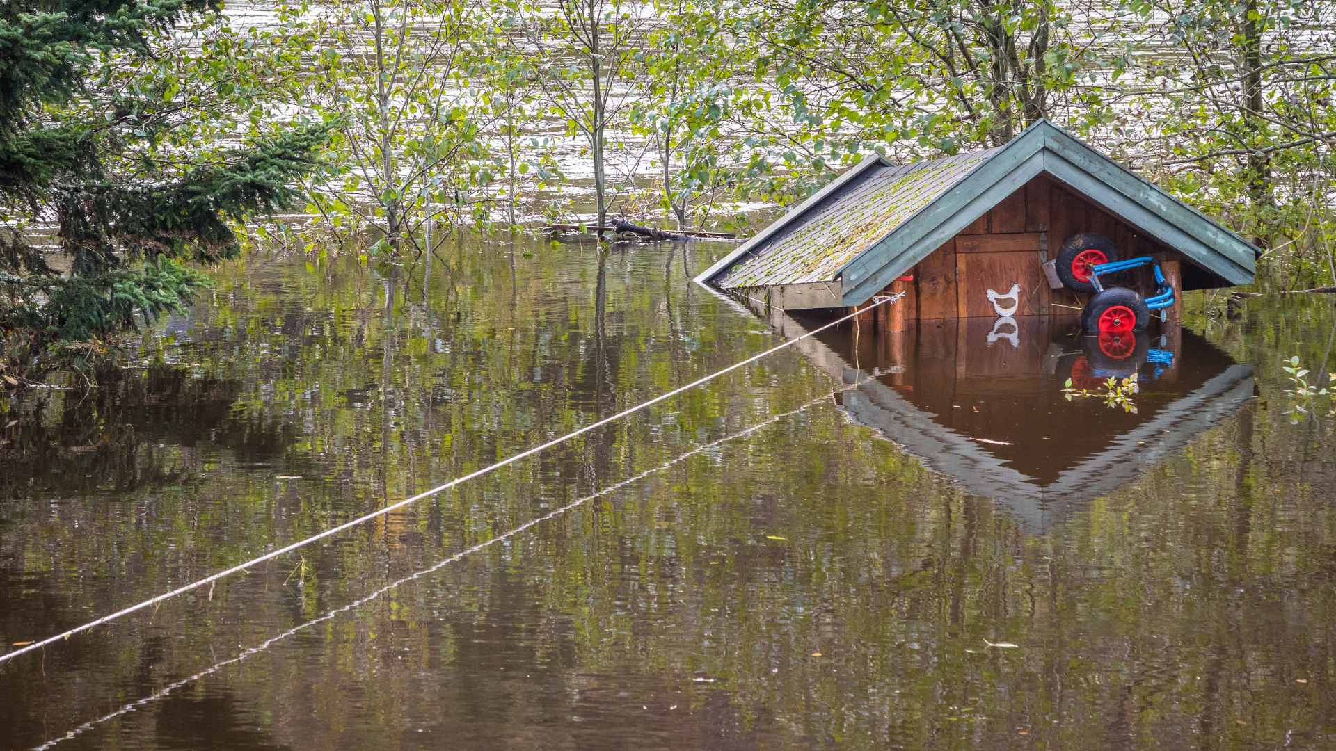 Hva koster EGENTLIG klimaskadene?