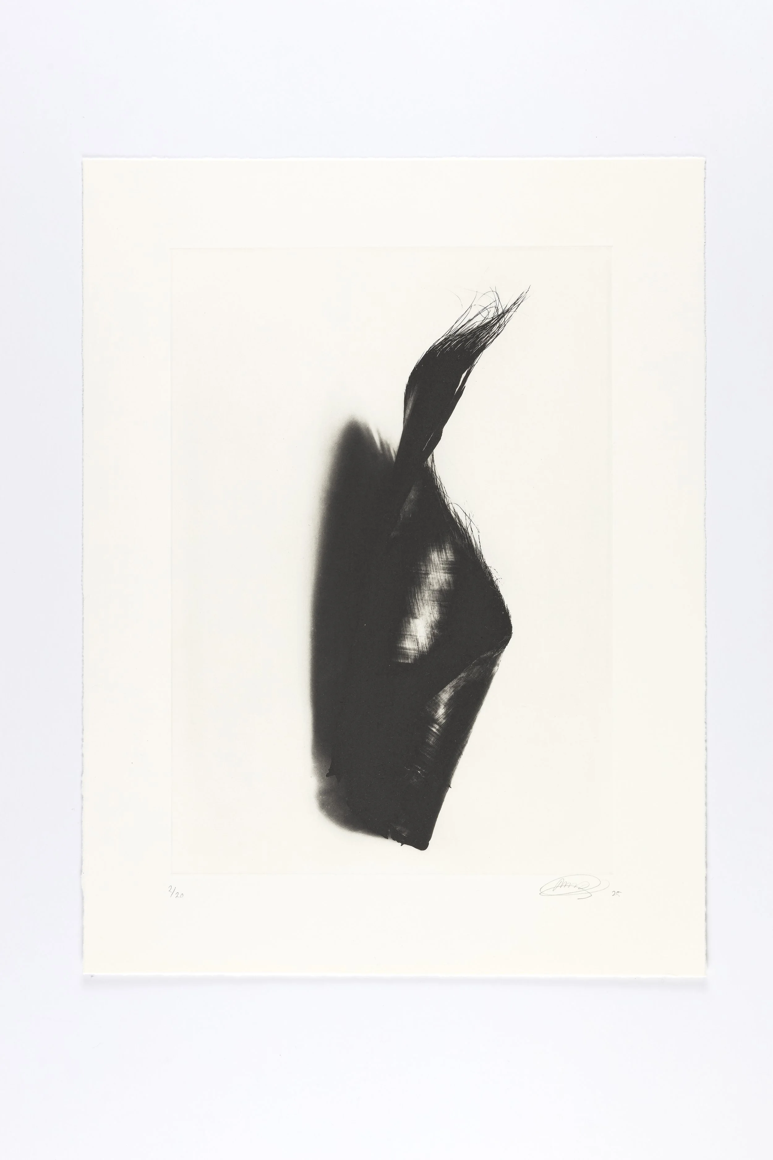 P101-9.jpg