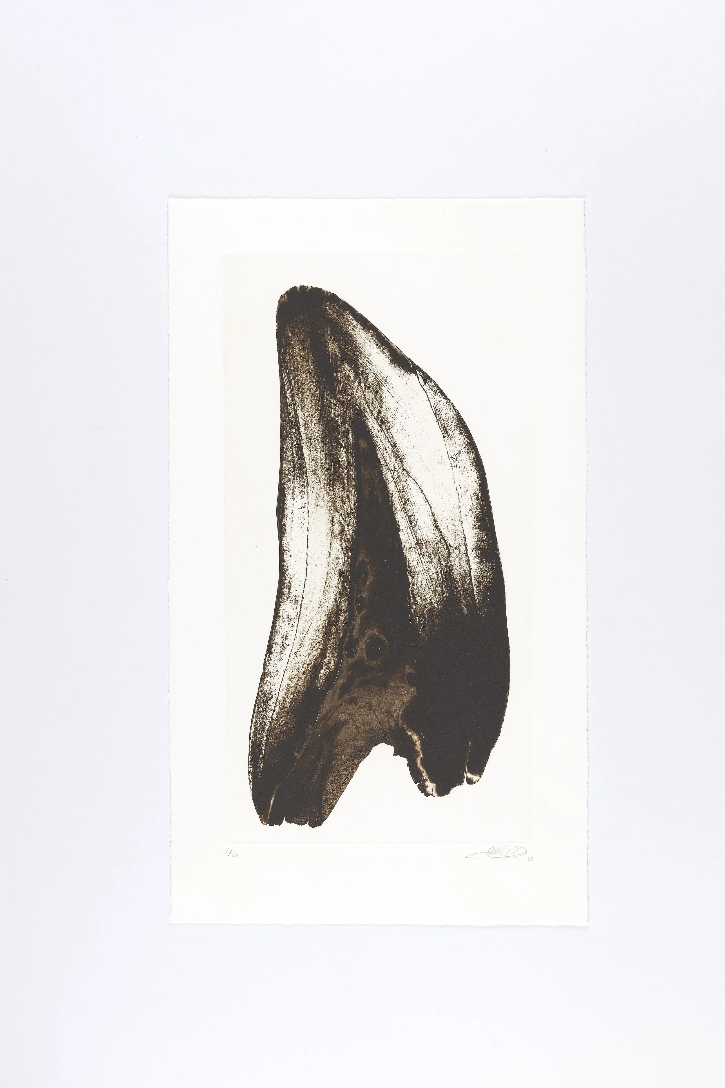 P101-7.jpg