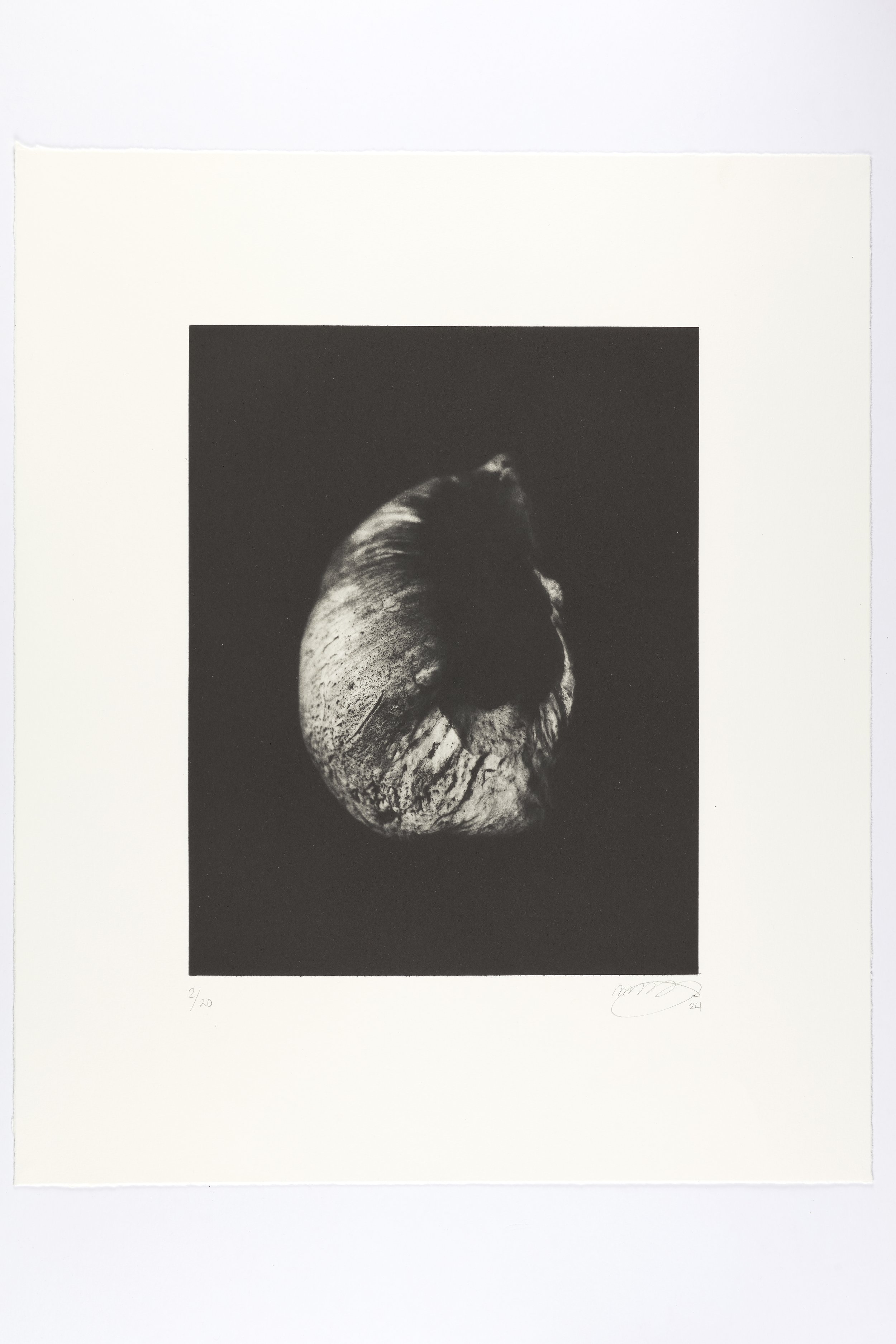 P101-8.jpg