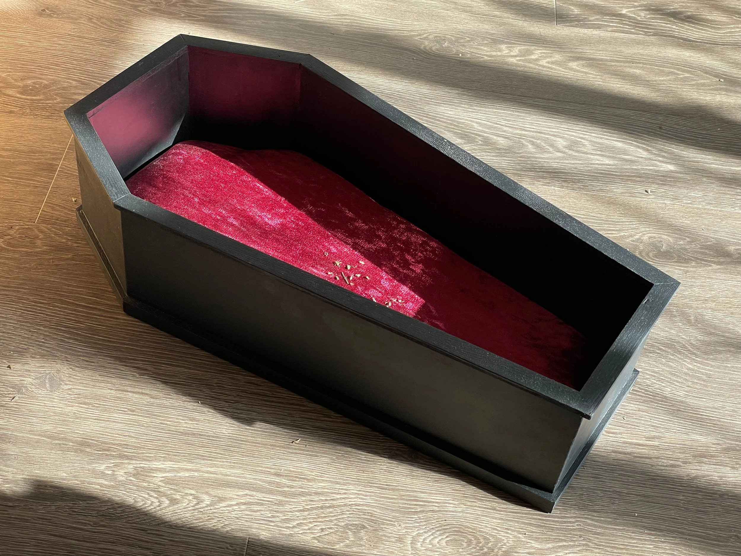 Vampire Coffin Bed