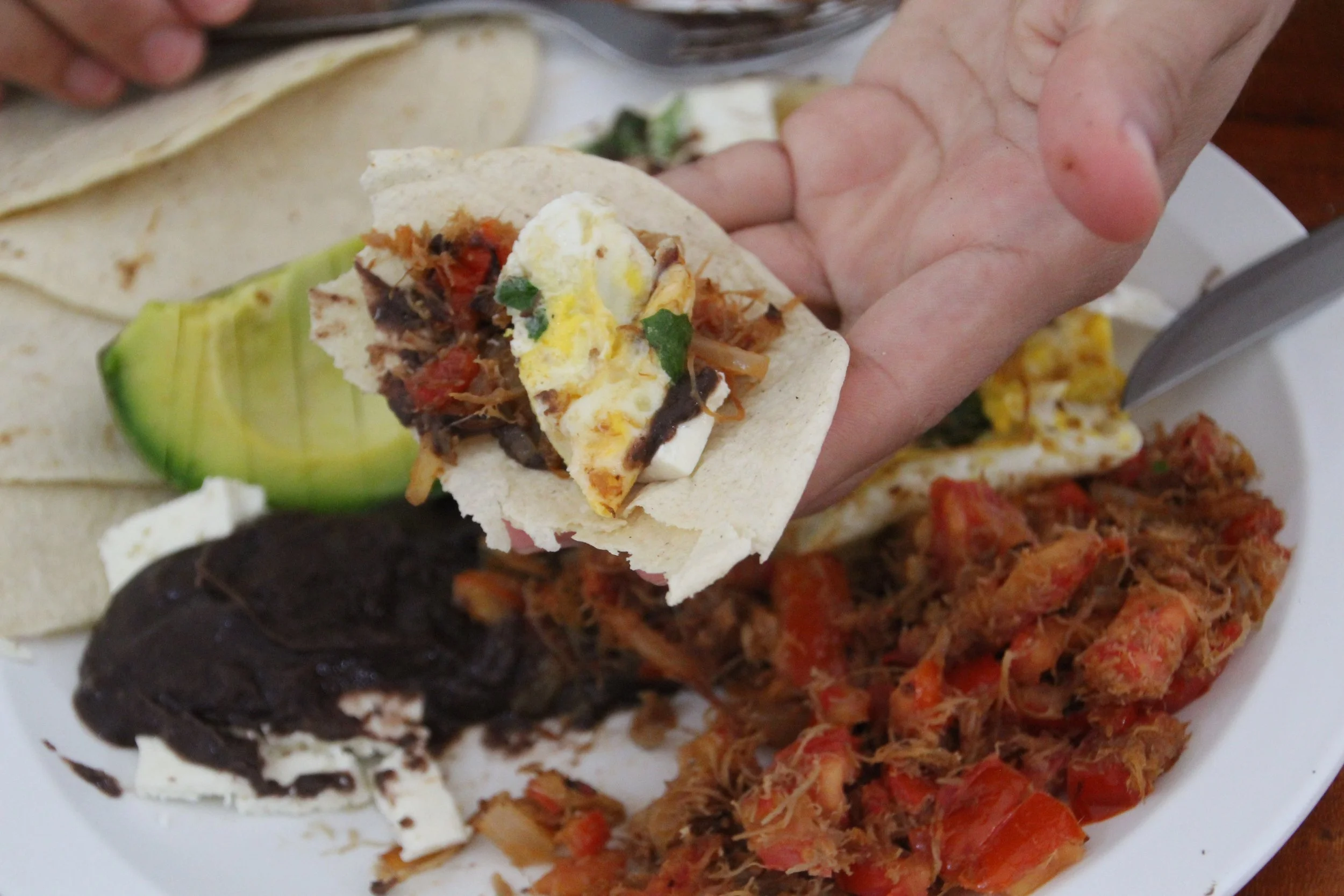 serving in tortilla 2 (1).JPG