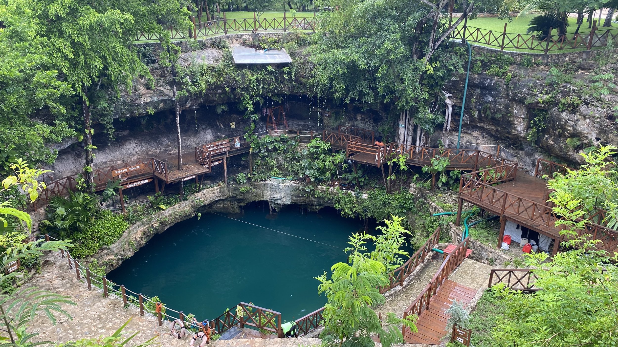 Why Cenotes Were Sacred to the Ancient Maya