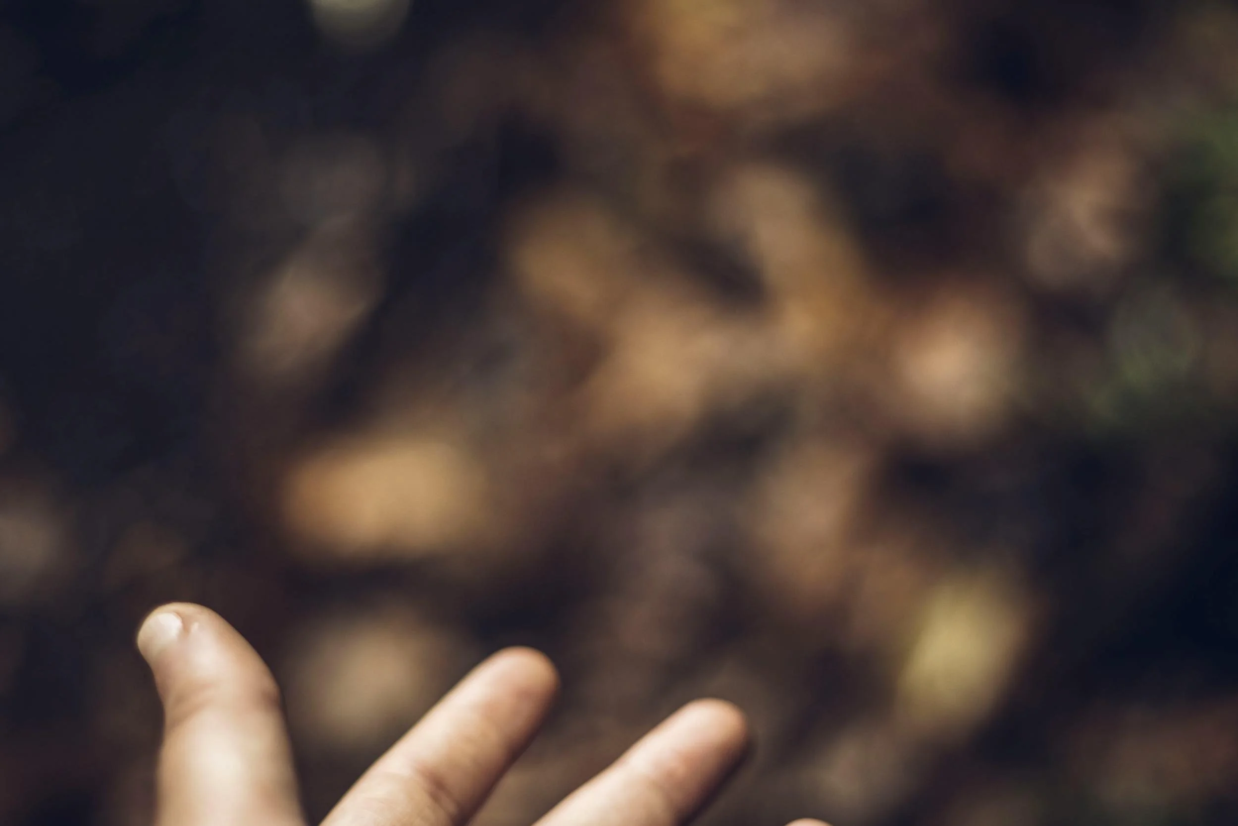 Fingers reaching towards blurred background of autumn leaves
