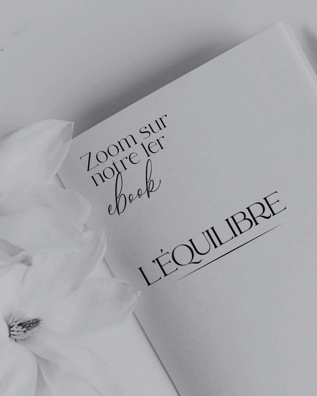 Zoom sur l&rsquo;ebook n&deg;1 : L&rsquo;&Eacute;quilibre ✨

L&rsquo;&eacute;quilibre est la base de tout.
Avant m&ecirc;me de parler de drainage lymphatique ou de remodelage, il est essentiel de comprendre dans quel &eacute;tat se trouve le corps qu