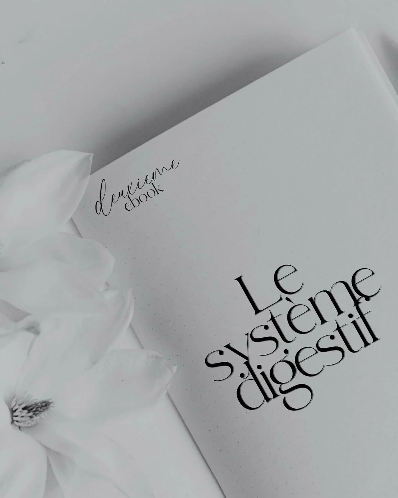 ✨ Zoom sur le Syst&egrave;me Digestif ✨

Le syst&egrave;me digestif est bien plus qu&rsquo;une question d&rsquo;alimentation.
Il est au c&oelig;ur de l&rsquo;&eacute;quilibre du corps, de l&rsquo;&eacute;limination, de l&rsquo;inflammation&hellip; et