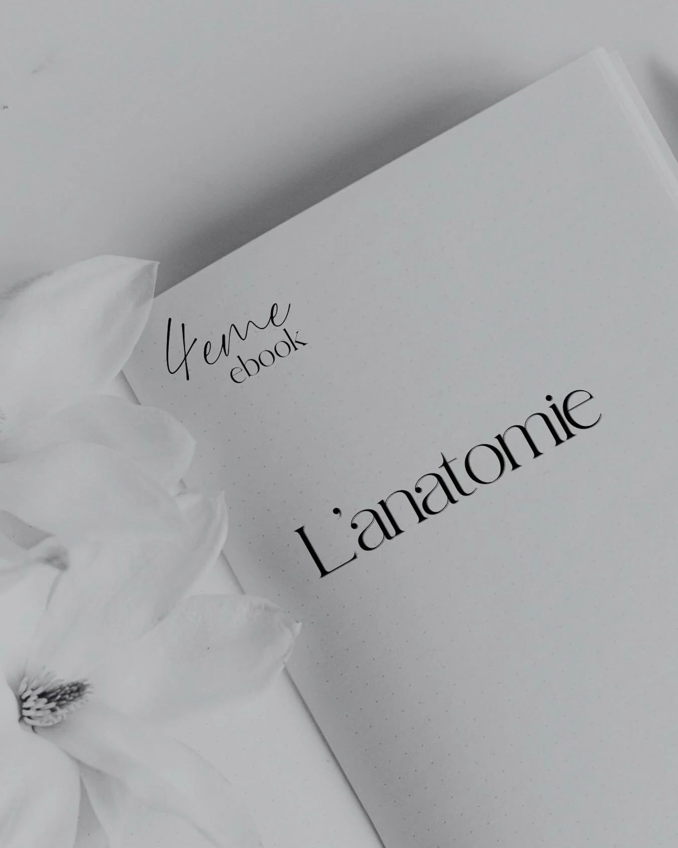 ✨ Zoom sur l&rsquo;ebook : Anatomie &amp; Syst&egrave;me lymphatique ✨

Comprendre le corps est indispensable pour bien l&rsquo;accompagner.
Cet ebook pose les bases anatomiques essentielles pour pratiquer les soins, et notamment le drainage lymphati