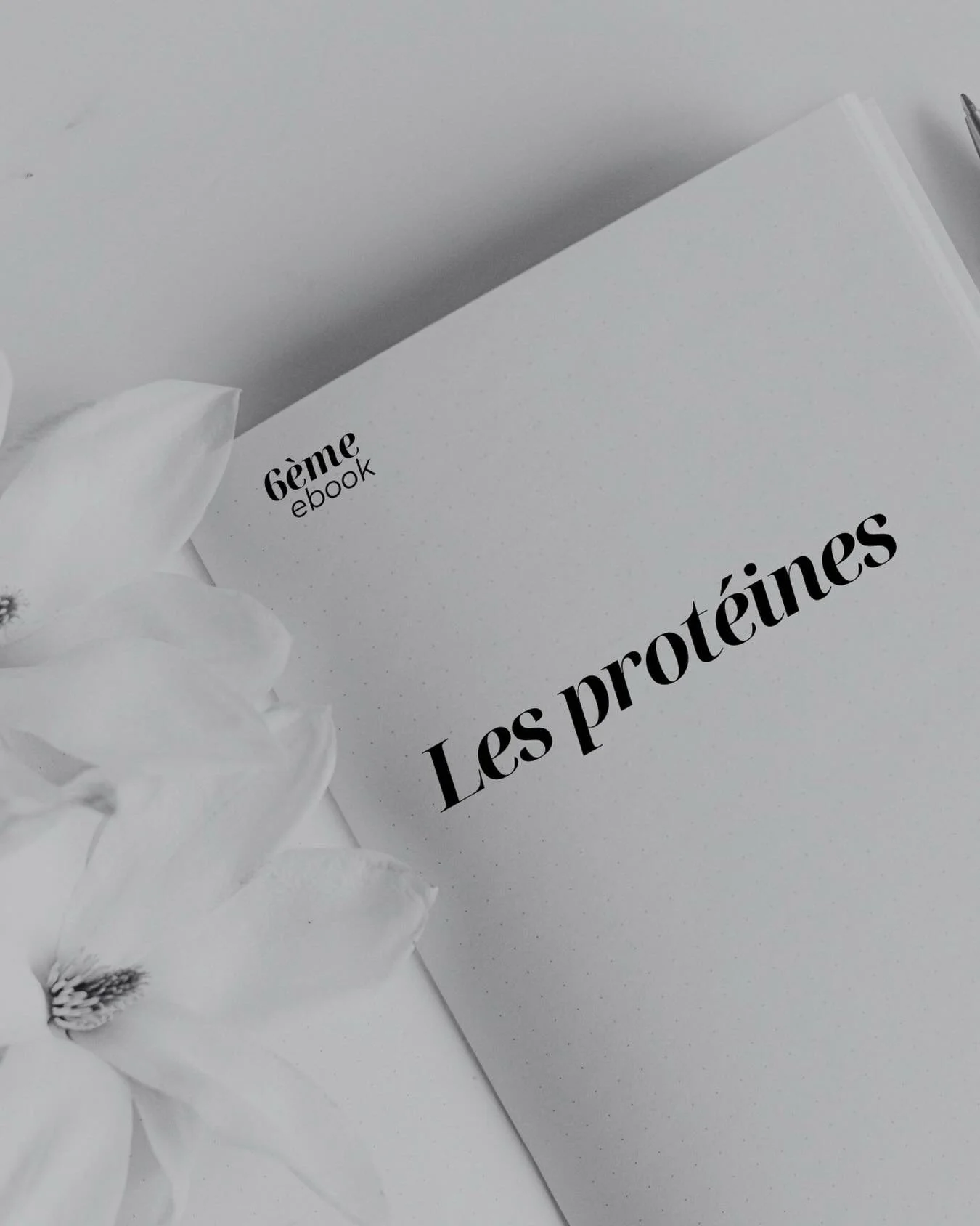 ✨ Zoom sur l&rsquo;ebook : Les Prot&eacute;ines ✨

Les prot&eacute;ines sont souvent r&eacute;duites &agrave; une notion de performance ou de chiffres.
Cet ebook a &eacute;t&eacute; con&ccedil;u pour remettre du sens et de la compr&eacute;hension aut
