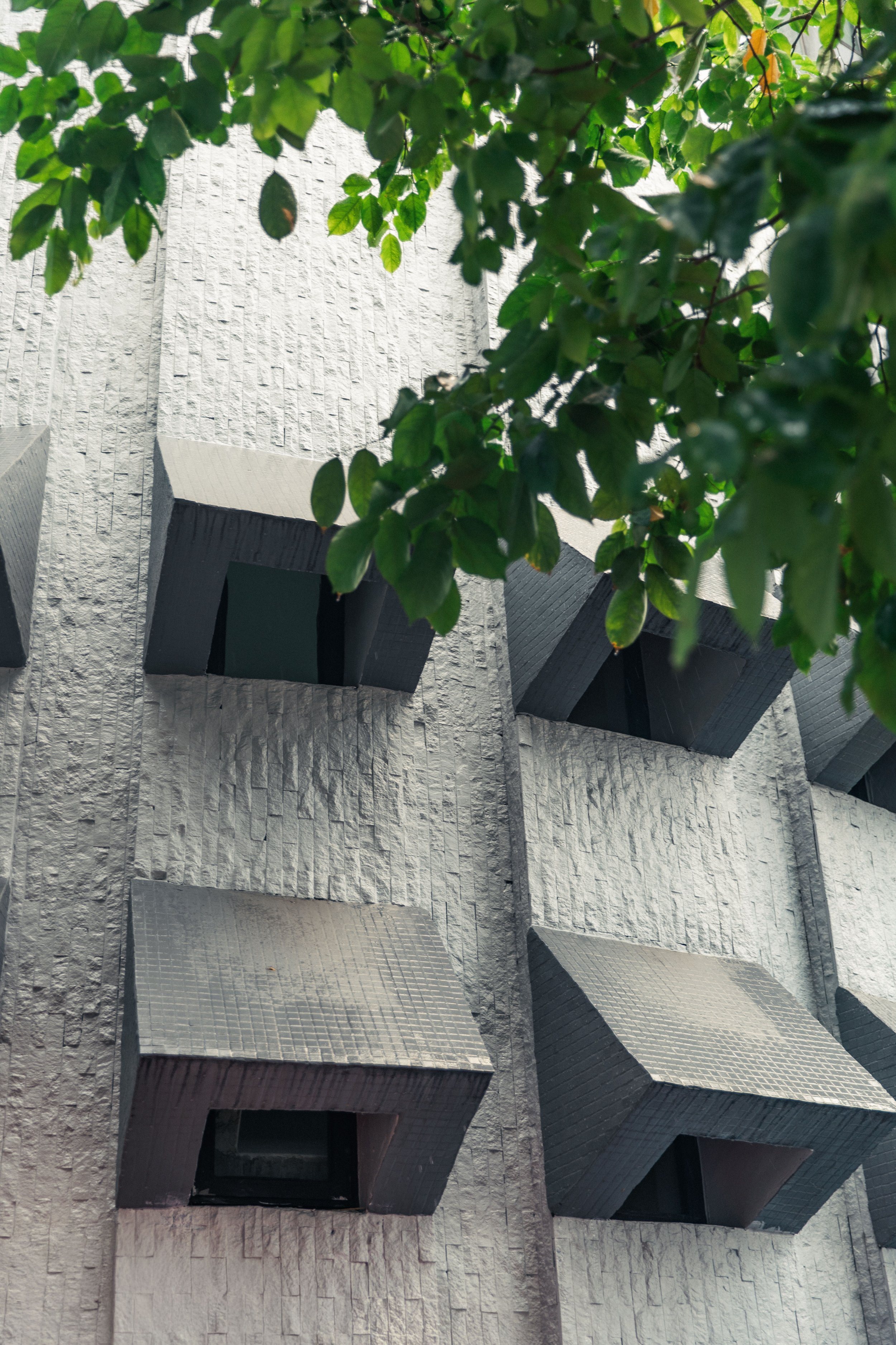 DOB Building-2.jpg