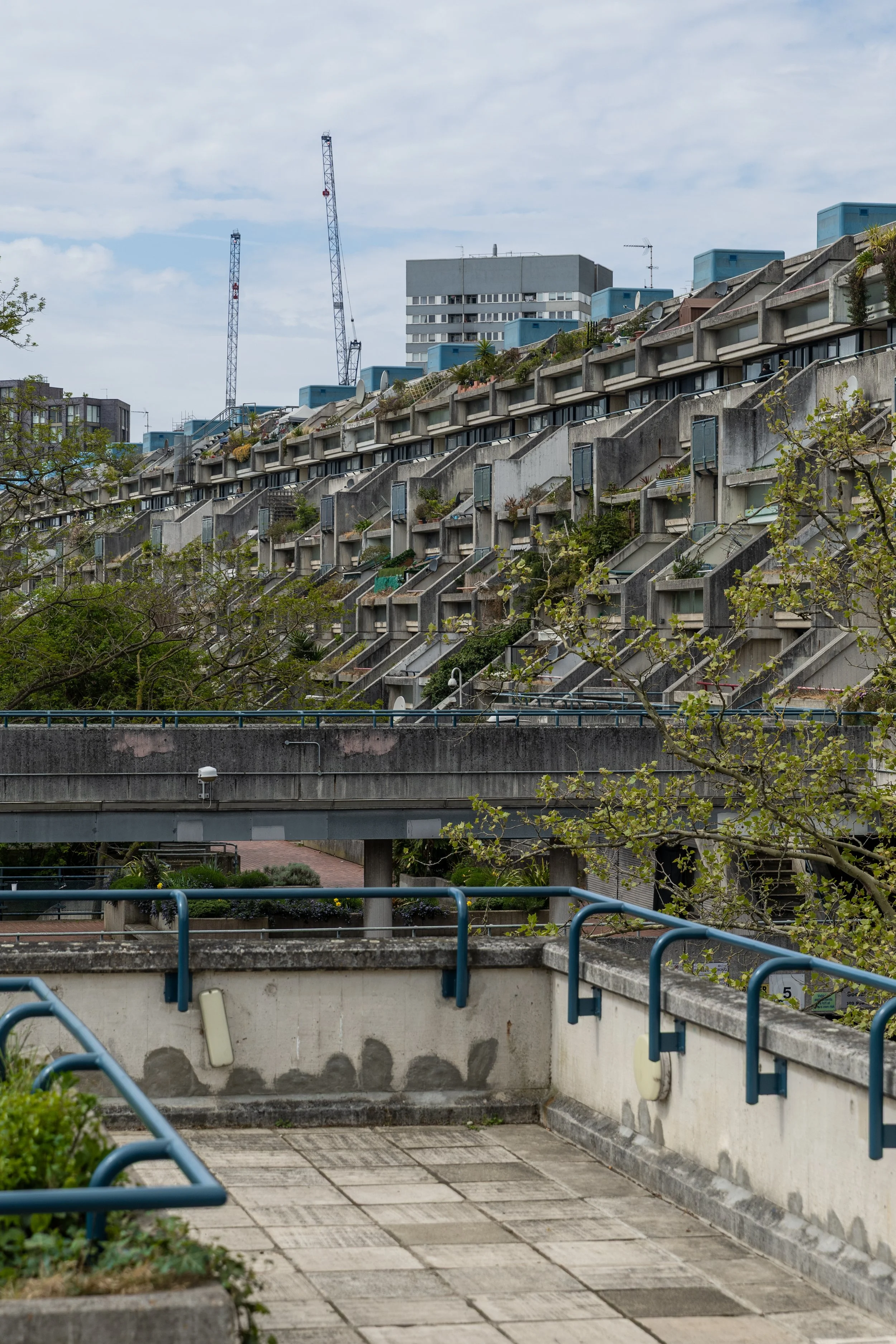 Alexandra and Ainsworth Estate - London-21.jpg