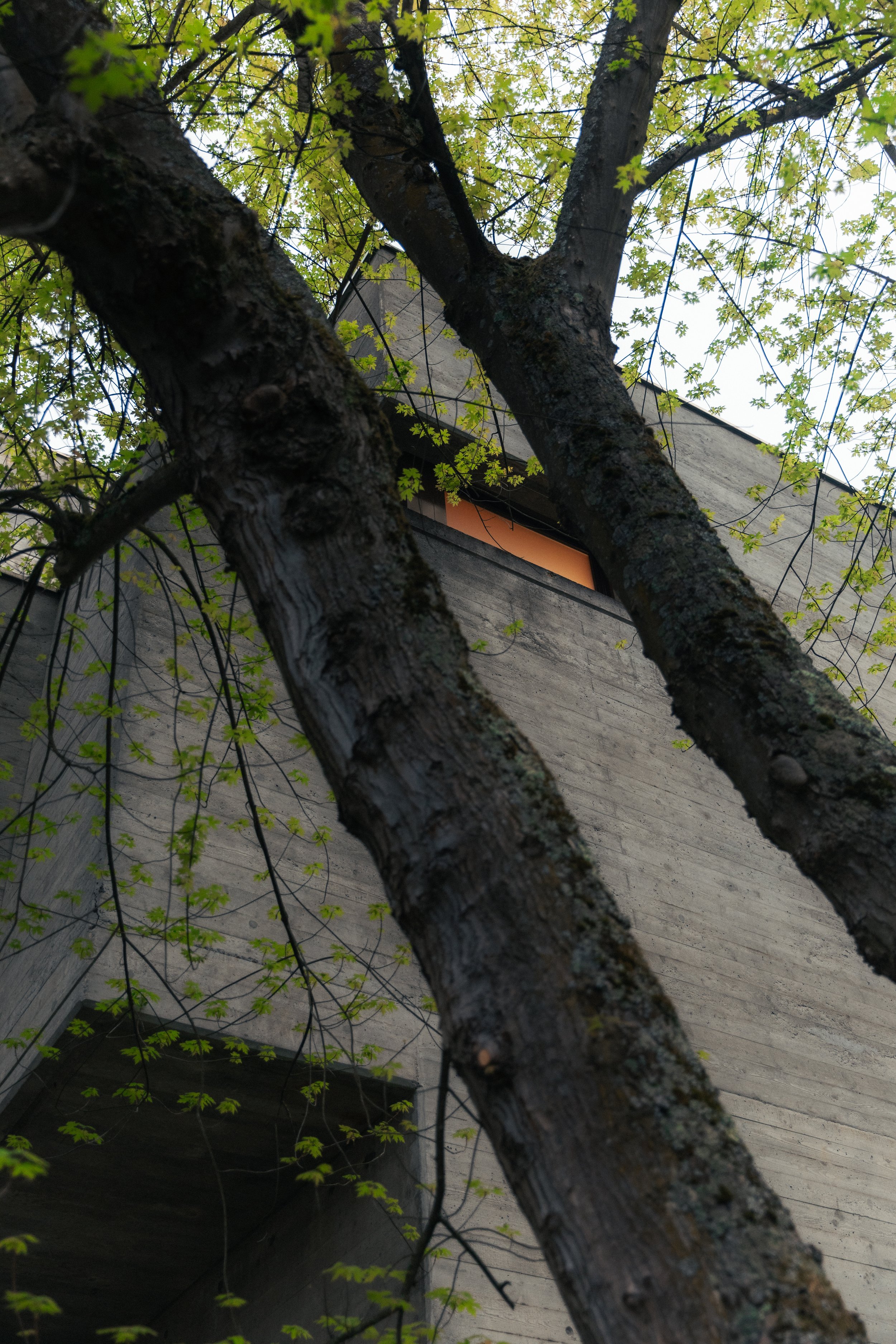 Katholische Johanneskirche - Luzern-12.jpg