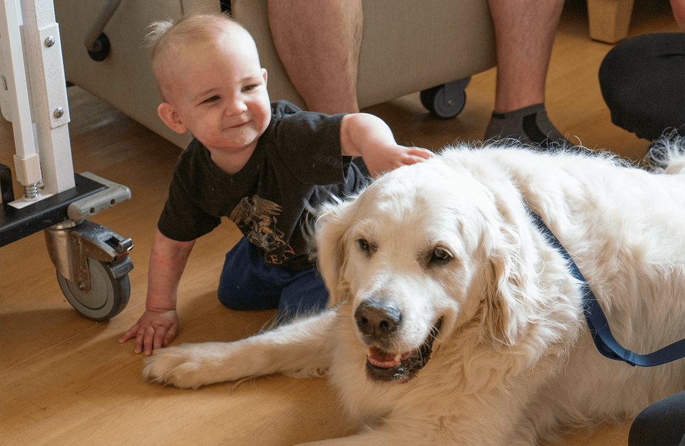  Ethan loves dogs and is excited to visit with Moose, a Caring Canine volunteer. The dogs and their owners visit children and families at the bedside to provide a simple cuddle and calming influence. 