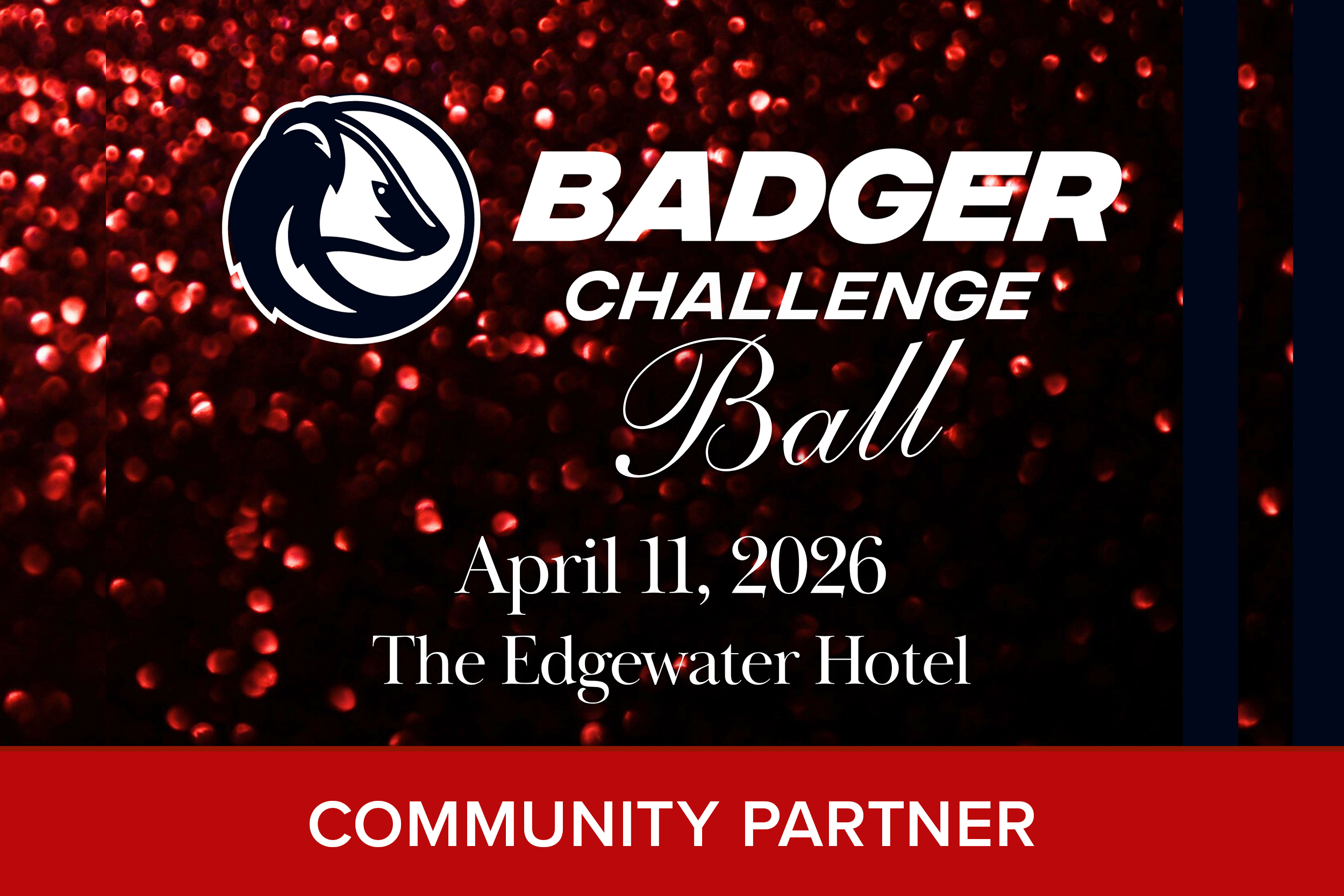 Badger Challenge Ball