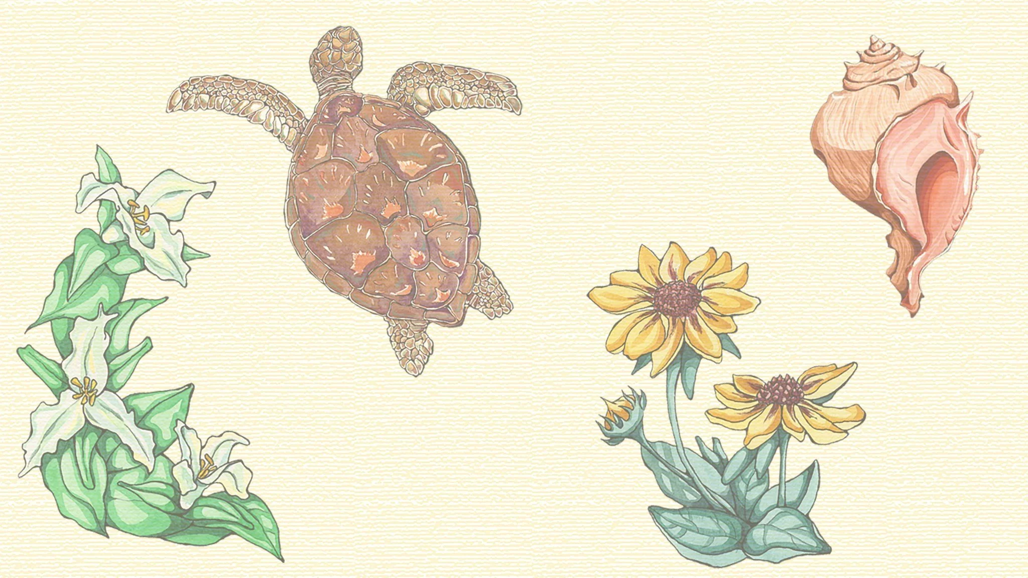 Portfolio — Shaimaa Art Studio