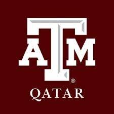 Texas A&M University at Qatar (TAMUQ) Faculty Development Workshop