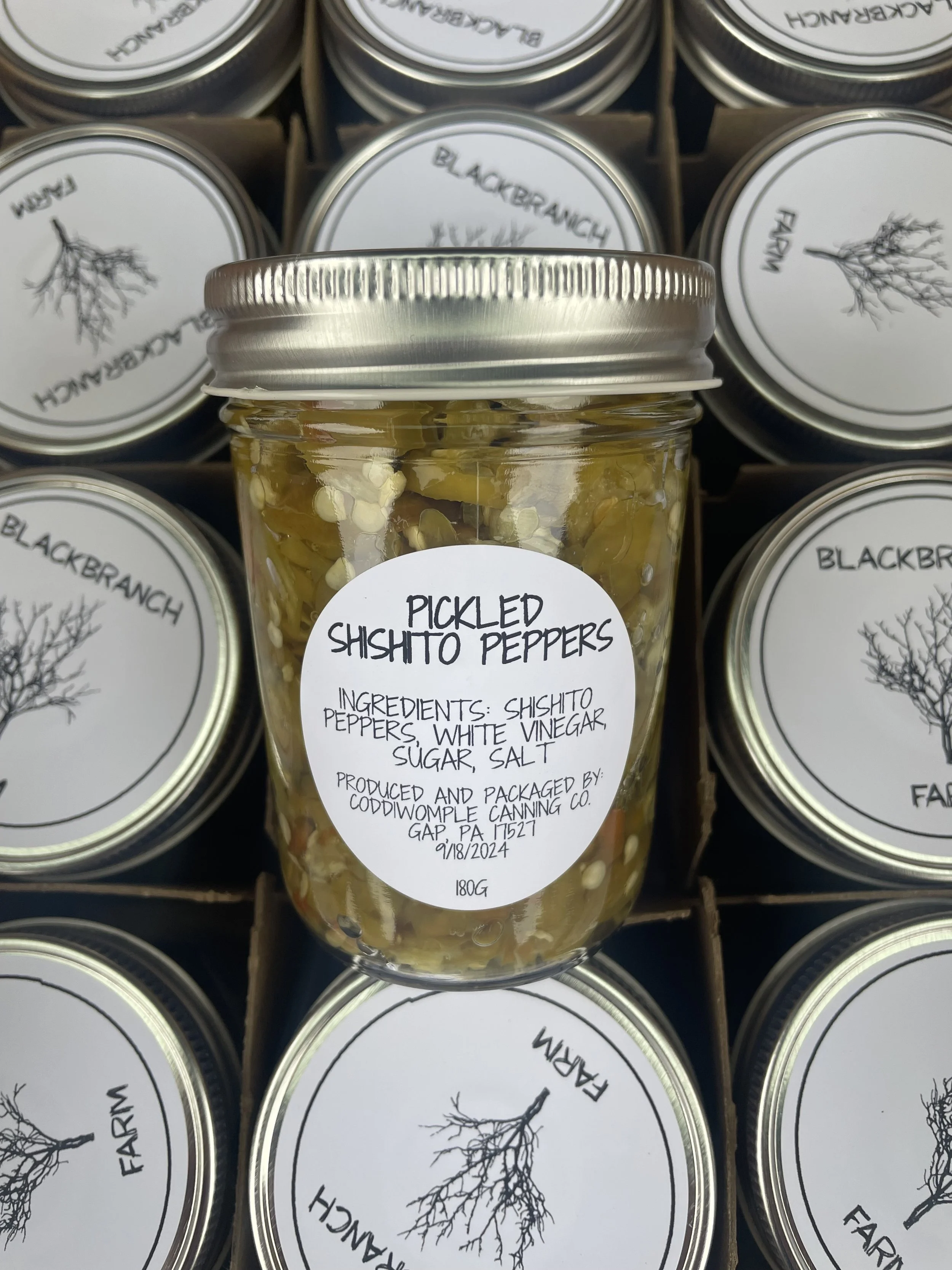 Pickled Shishito Peppers