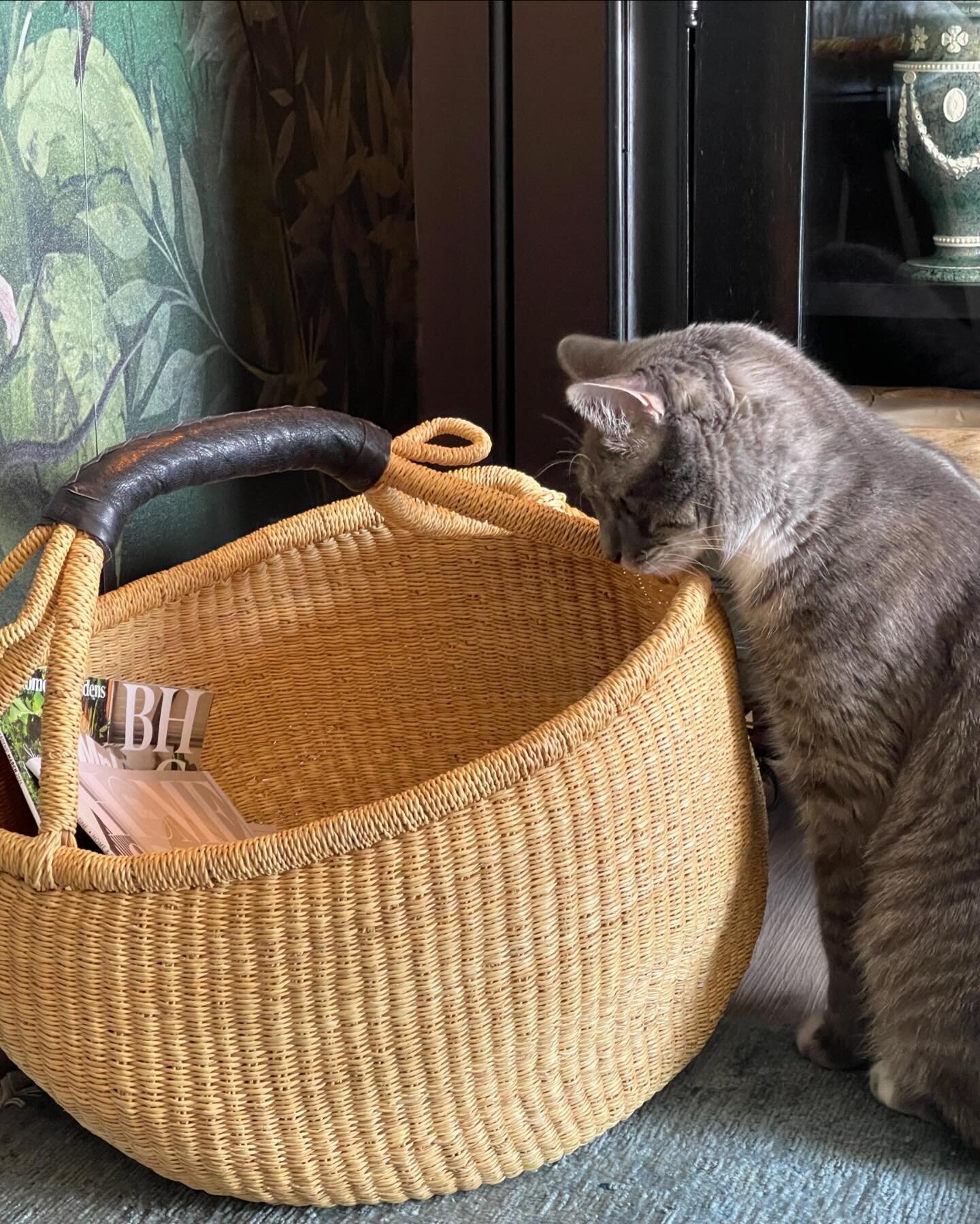 Now you see him. Now you&hellip; still see him. That&rsquo;s the best that Franklin and I can do for a magic trick with this gorgeous basket from @storyandteller in Minnesota.

It&rsquo;s a little hard to see, but he was dying to get a look at the la