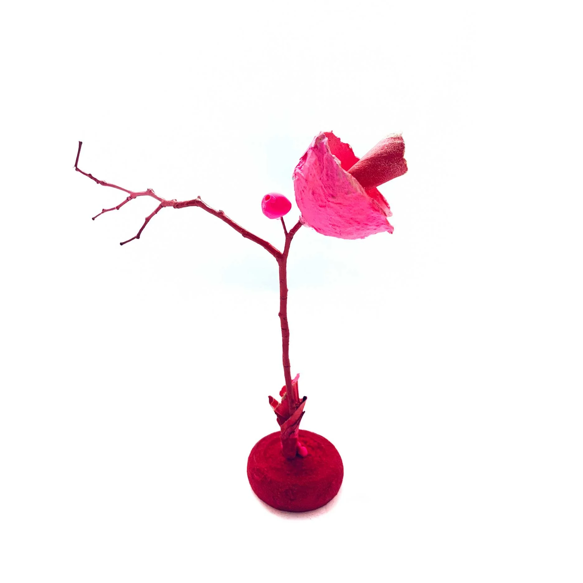 KellySchnurr-PlantParts-1.jpg