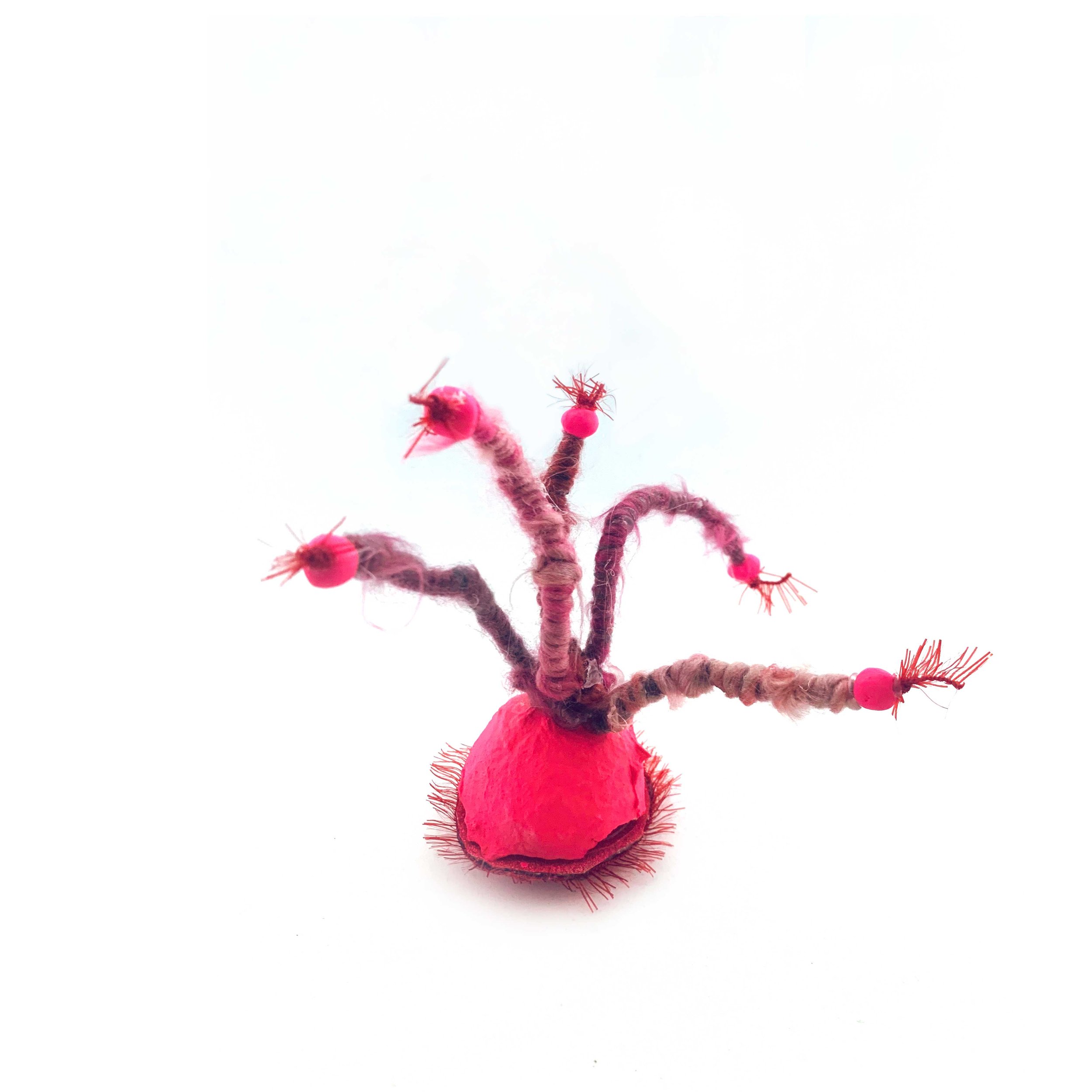 KellySchnurr-PlantParts-4.jpg
