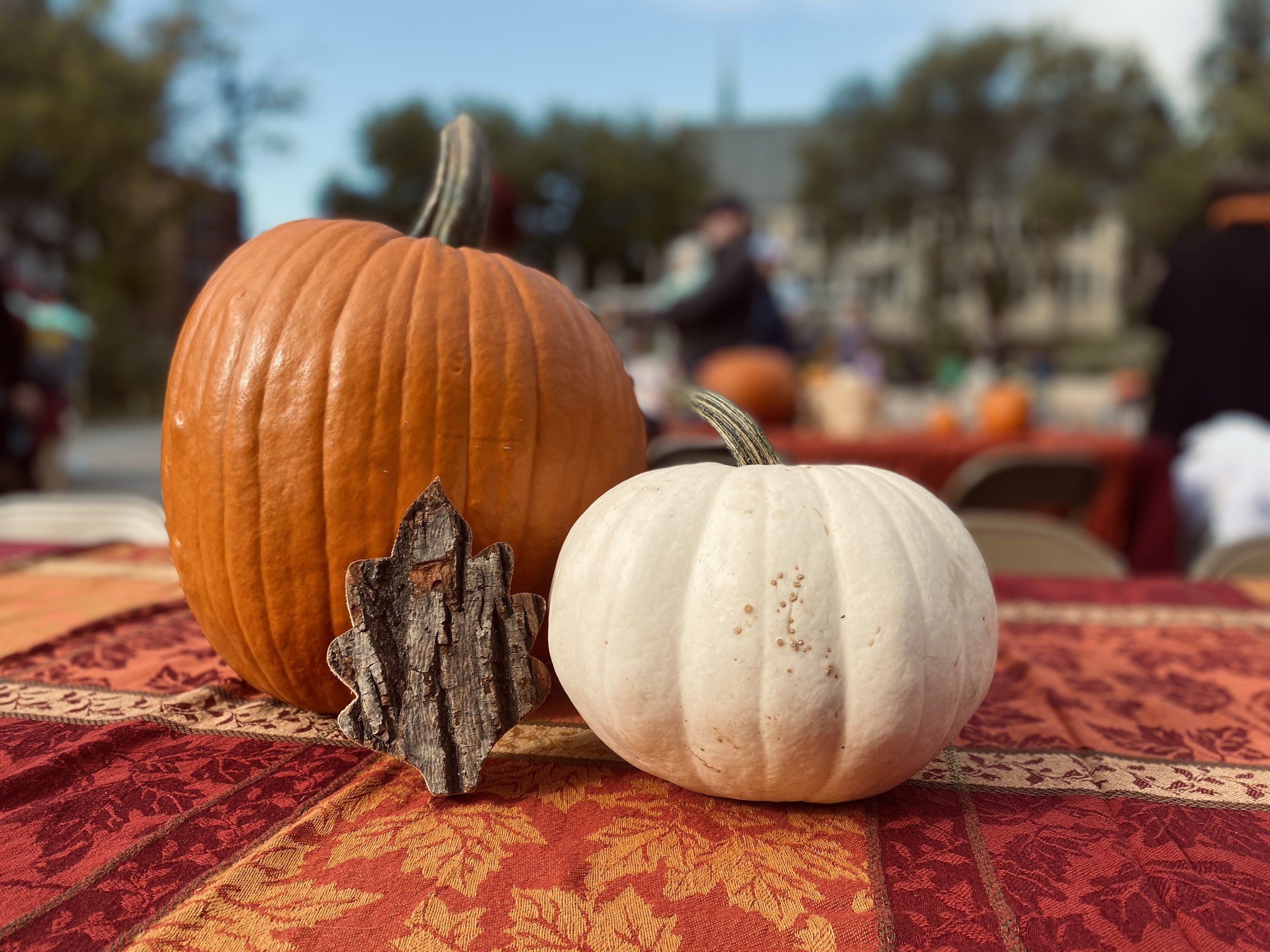 Early Childhood Harvest Festival